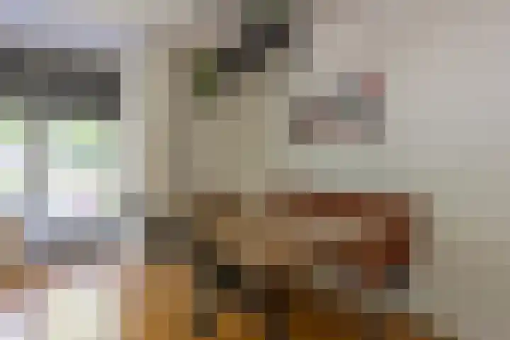 Dr. Ir. Bungestraat 79 Heerlen thumbnail 9