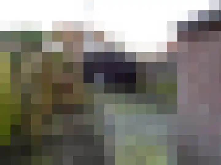 Dr. ir. C. Lelystraat 38 Middenmeer thumbnail 22