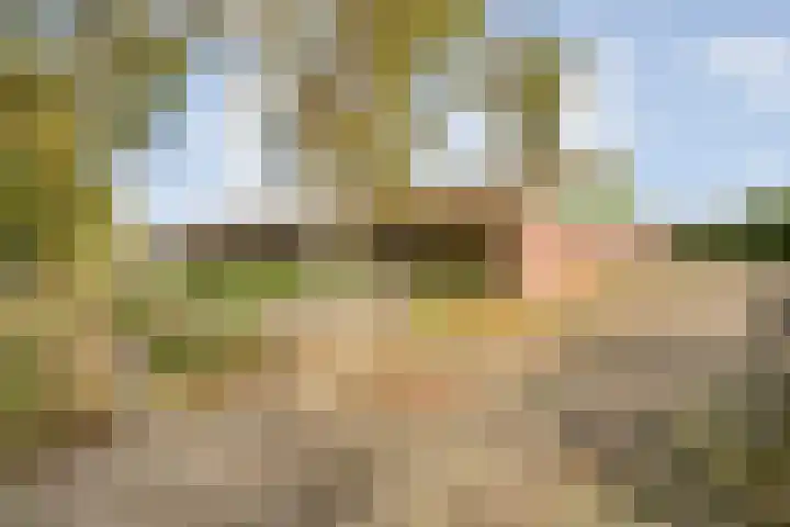 Dr Ir H A Stheemanstraat 20 Nieuw-Schoonebeek thumbnail 10