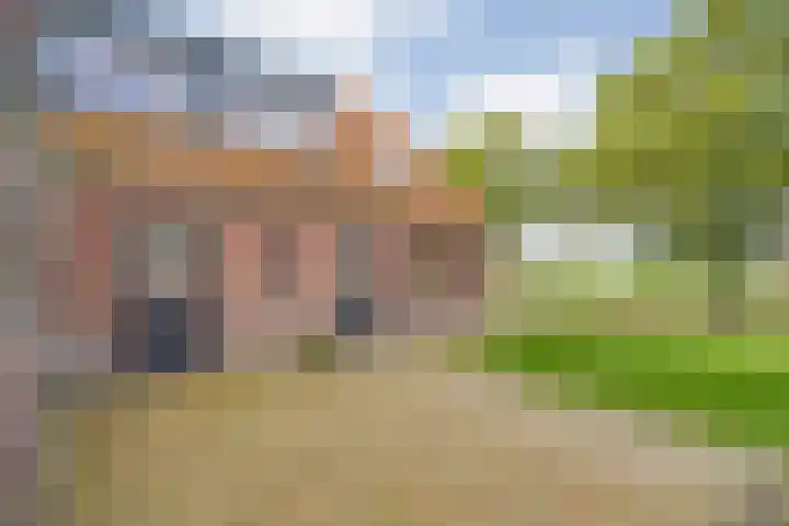 Dr Ir H A Stheemanstraat 20 Nieuw-Schoonebeek thumbnail 11