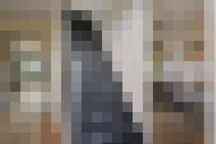 Dr Ir H A Stheemanstraat 20 Nieuw-Schoonebeek thumbnail 12