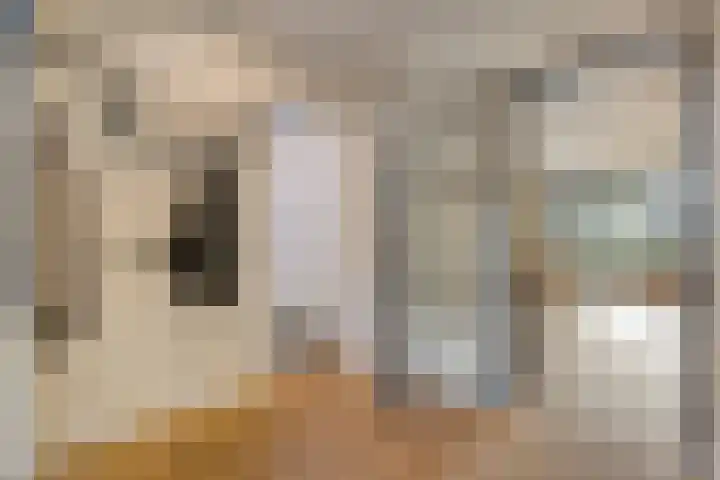 Dr Ir H A Stheemanstraat 20 Nieuw-Schoonebeek thumbnail 13