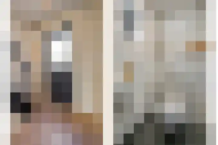 Dr Ir H A Stheemanstraat 20 Nieuw-Schoonebeek thumbnail 15