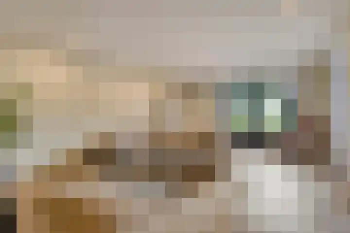 Dr Ir H A Stheemanstraat 20 Nieuw-Schoonebeek thumbnail 16