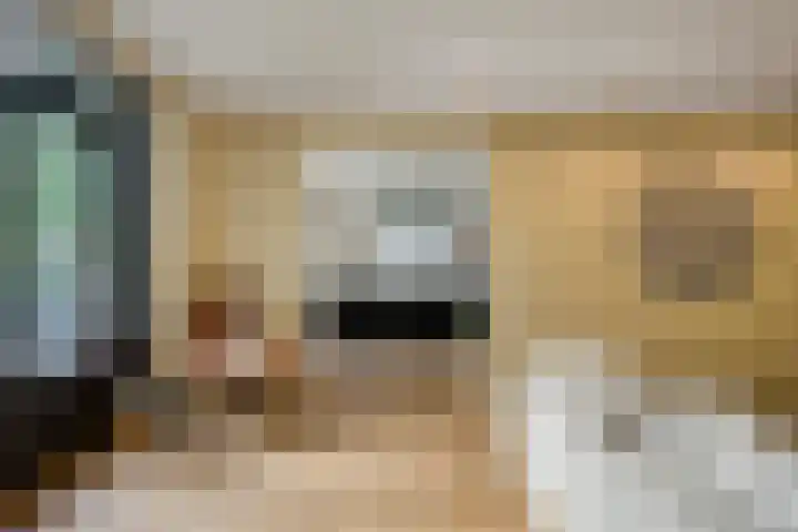 Dr Ir H A Stheemanstraat 20 Nieuw-Schoonebeek thumbnail 22