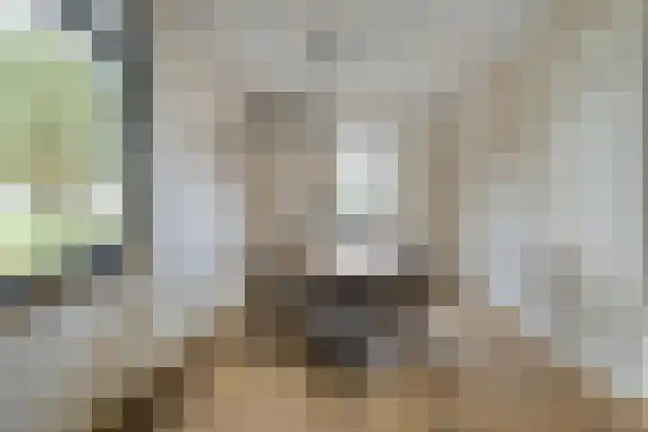 Dr Ir H A Stheemanstraat 20 Nieuw-Schoonebeek thumbnail 24