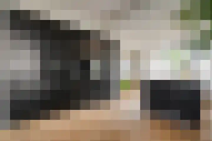Dr Ir H A Stheemanstraat 20 Nieuw-Schoonebeek thumbnail 25