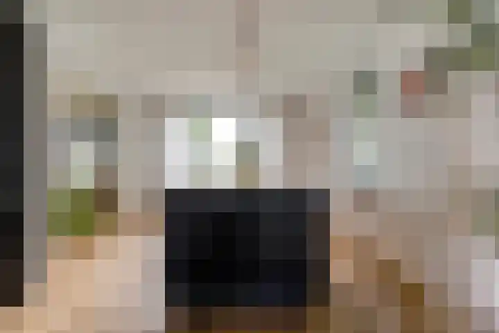 Dr Ir H A Stheemanstraat 20 Nieuw-Schoonebeek thumbnail 26