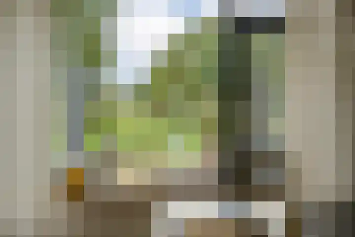 Dr Ir H A Stheemanstraat 20 Nieuw-Schoonebeek thumbnail 30
