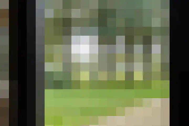 Dr Ir H A Stheemanstraat 20 Nieuw-Schoonebeek thumbnail 31