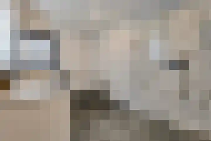 Dr Ir H A Stheemanstraat 20 Nieuw-Schoonebeek thumbnail 37