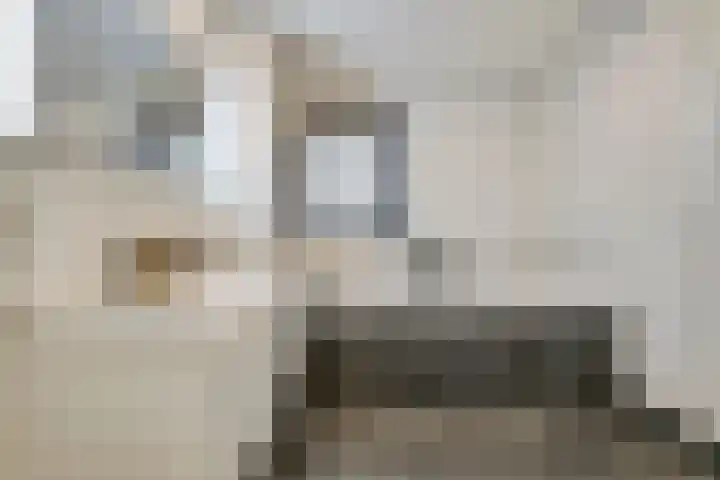 Dr Ir H A Stheemanstraat 20 Nieuw-Schoonebeek thumbnail 38