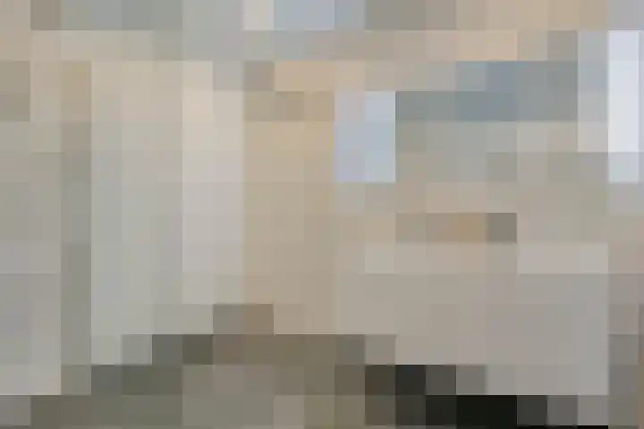 Dr Ir H A Stheemanstraat 20 Nieuw-Schoonebeek thumbnail 39