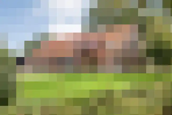 Dr Ir H A Stheemanstraat 20 Nieuw-Schoonebeek thumbnail 4