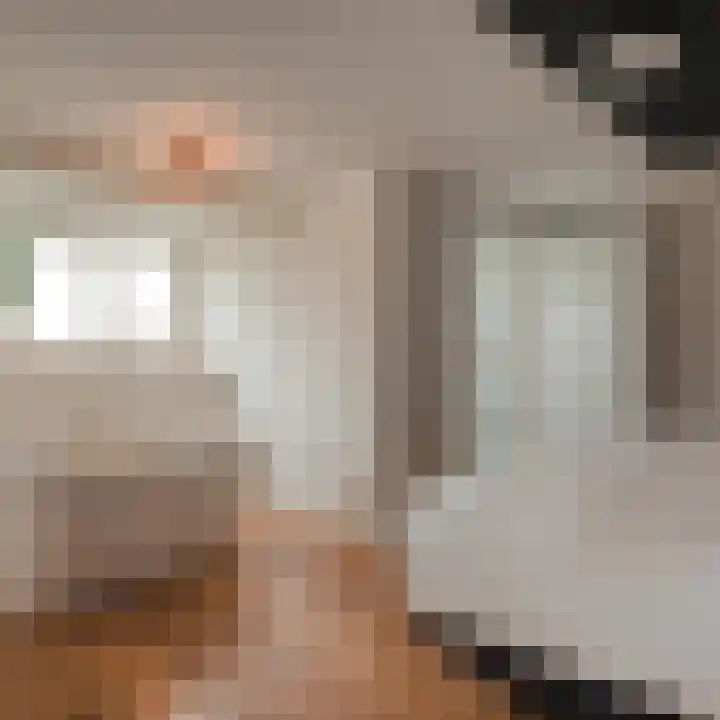 Dr Ir H A Stheemanstraat 20 Nieuw-Schoonebeek thumbnail 42
