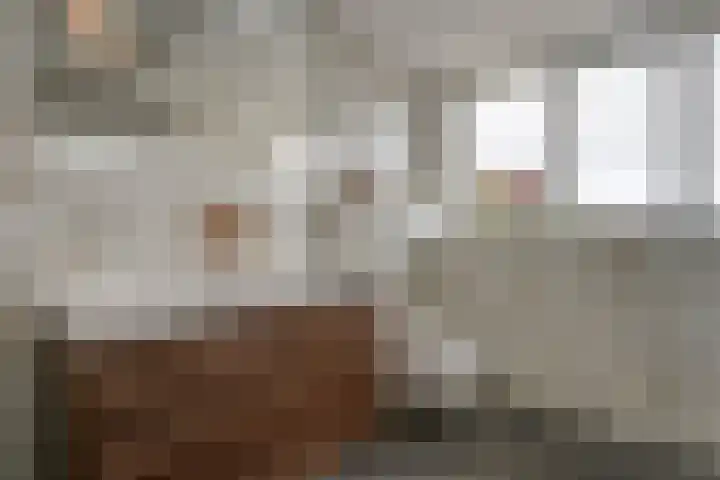 Dr Ir H A Stheemanstraat 20 Nieuw-Schoonebeek thumbnail 48