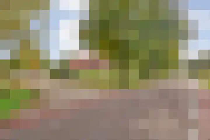 Dr Ir H A Stheemanstraat 20 Nieuw-Schoonebeek thumbnail 5