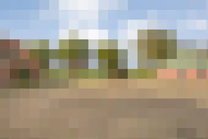 Dr Ir H A Stheemanstraat 20 Nieuw-Schoonebeek thumbnail 6