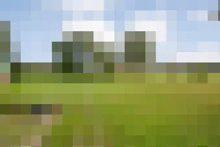 Dr Ir H A Stheemanstraat 20 Nieuw-Schoonebeek thumbnail 61