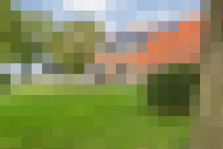 Dr Ir H A Stheemanstraat 20 Nieuw-Schoonebeek thumbnail 64