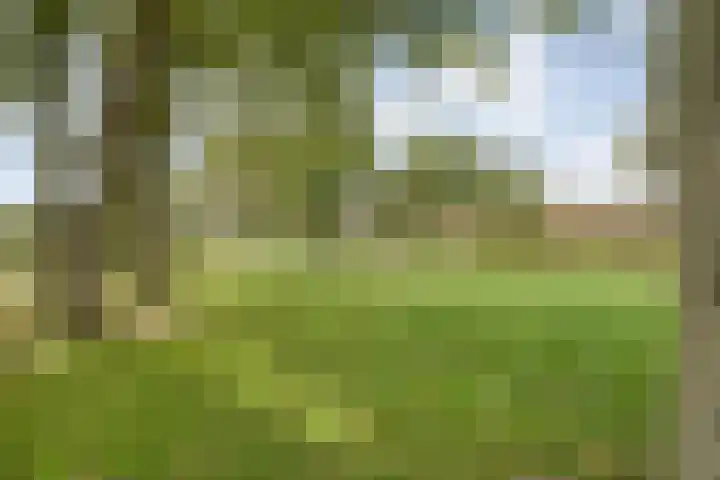 Dr Ir H A Stheemanstraat 20 Nieuw-Schoonebeek thumbnail 65