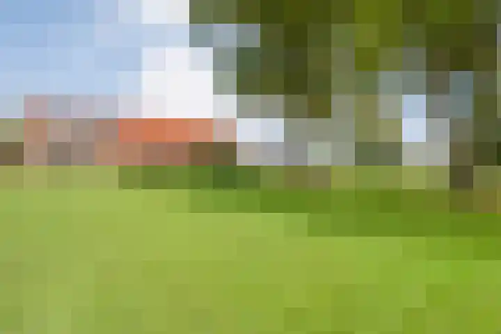 Dr Ir H A Stheemanstraat 20 Nieuw-Schoonebeek thumbnail 66