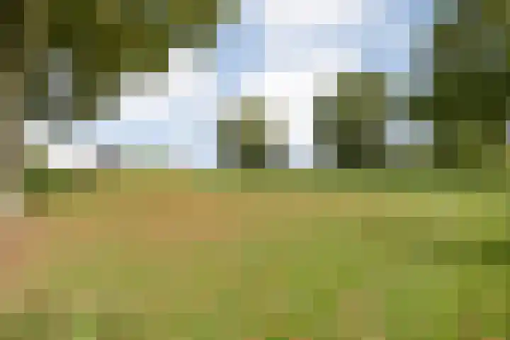 Dr Ir H A Stheemanstraat 20 Nieuw-Schoonebeek thumbnail 67
