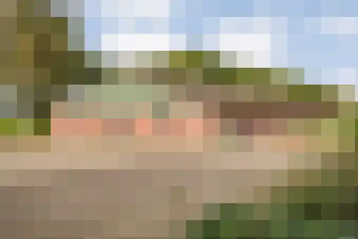 Dr Ir H A Stheemanstraat 20 Nieuw-Schoonebeek thumbnail 7
