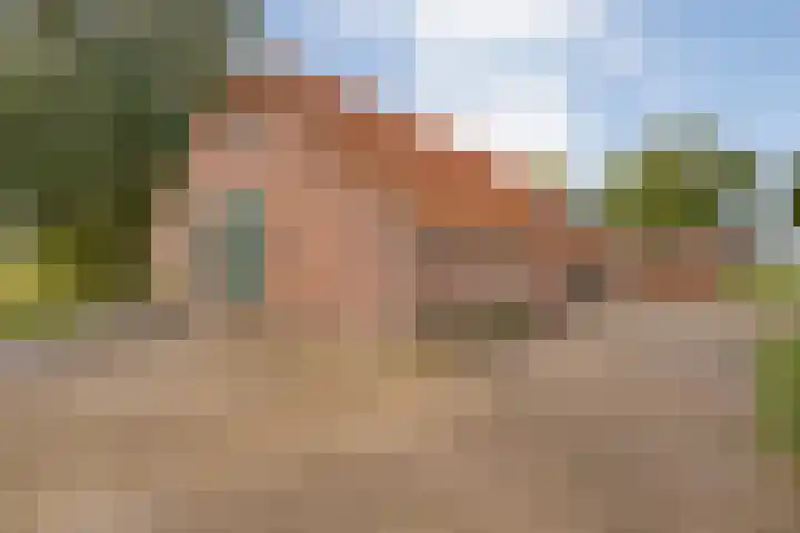 Dr Ir H A Stheemanstraat 20 Nieuw-Schoonebeek thumbnail 8