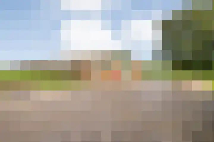 Dr Ir H A Stheemanstraat 20 Nieuw-Schoonebeek thumbnail 9