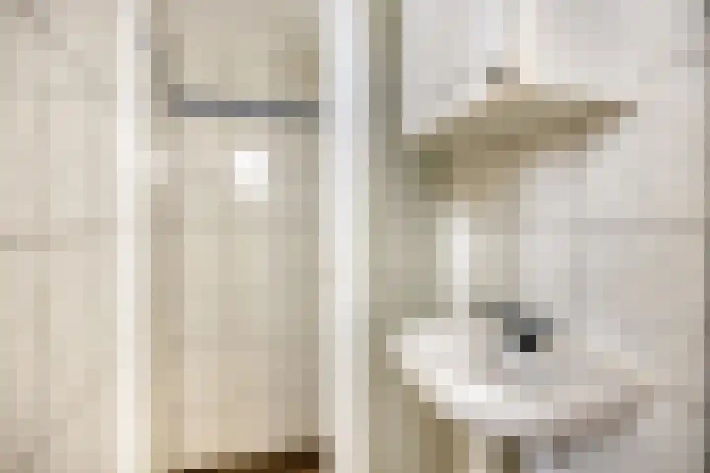Dr. Ir. Lelystraat 11 Ridderkerk thumbnail 10