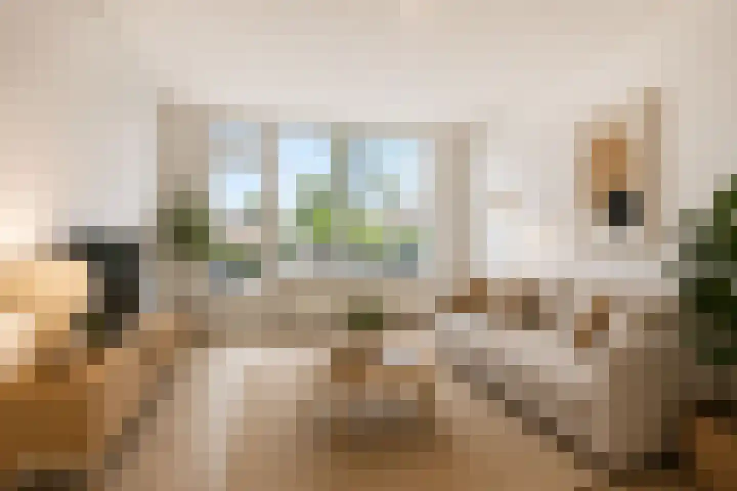 Dr. Ir. Lelystraat 11 Ridderkerk thumbnail 4