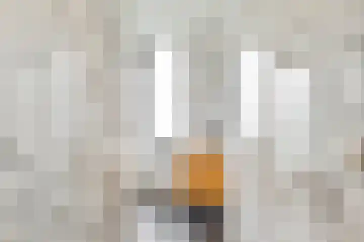 Dr. Ir. Lelystraat 17 Ridderkerk thumbnail 12