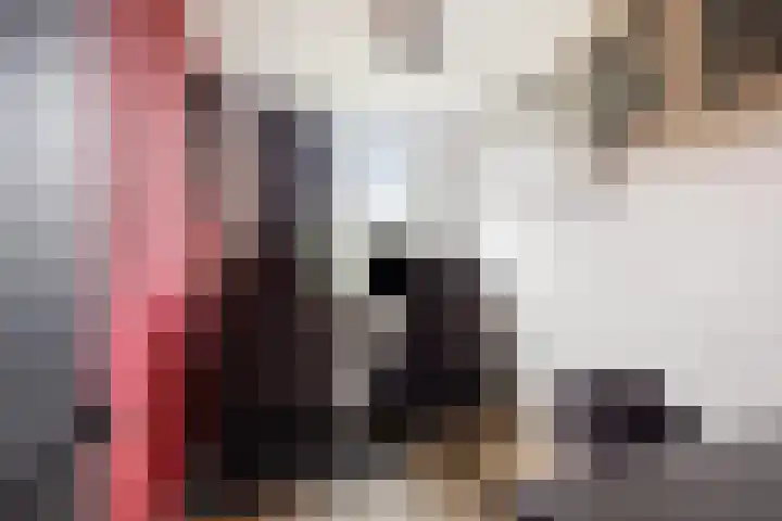 Dr. Ir. Lelystraat 17 Ridderkerk thumbnail 18