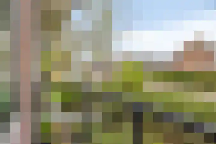 Dr. Ir. Lelystraat 17 Ridderkerk thumbnail 21