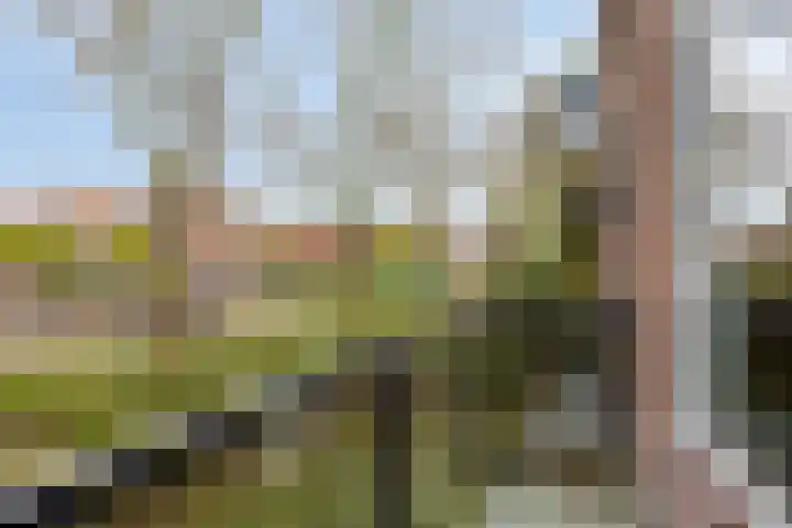 Dr. Ir. Lelystraat 17 Ridderkerk thumbnail 22