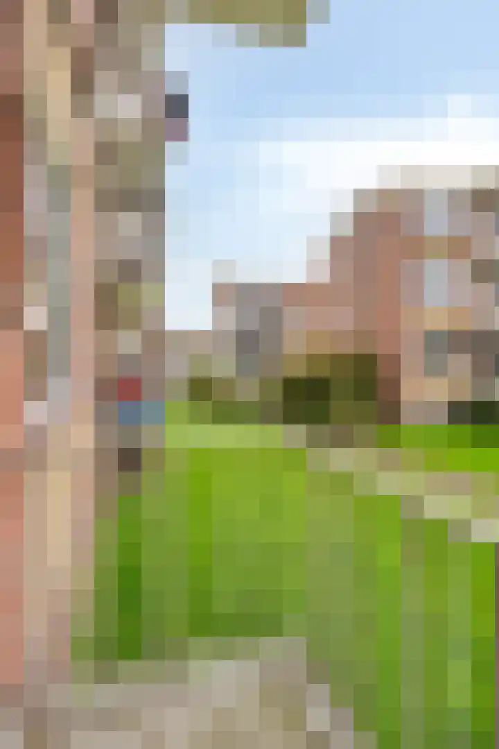 Dr. Ir. Lelystraat 17 Ridderkerk thumbnail 24