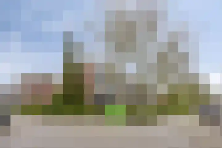 Dr. Ir. Lelystraat 17 Ridderkerk thumbnail 27