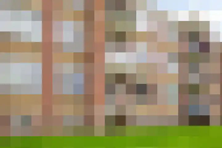 Dr. Ir. Lelystraat 17 Ridderkerk thumbnail 29