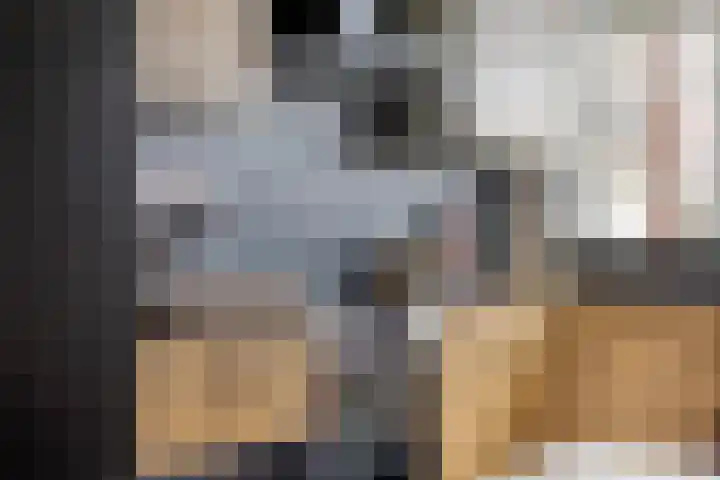 Dr. Ir. Lelystraat 17 Ridderkerk thumbnail 5