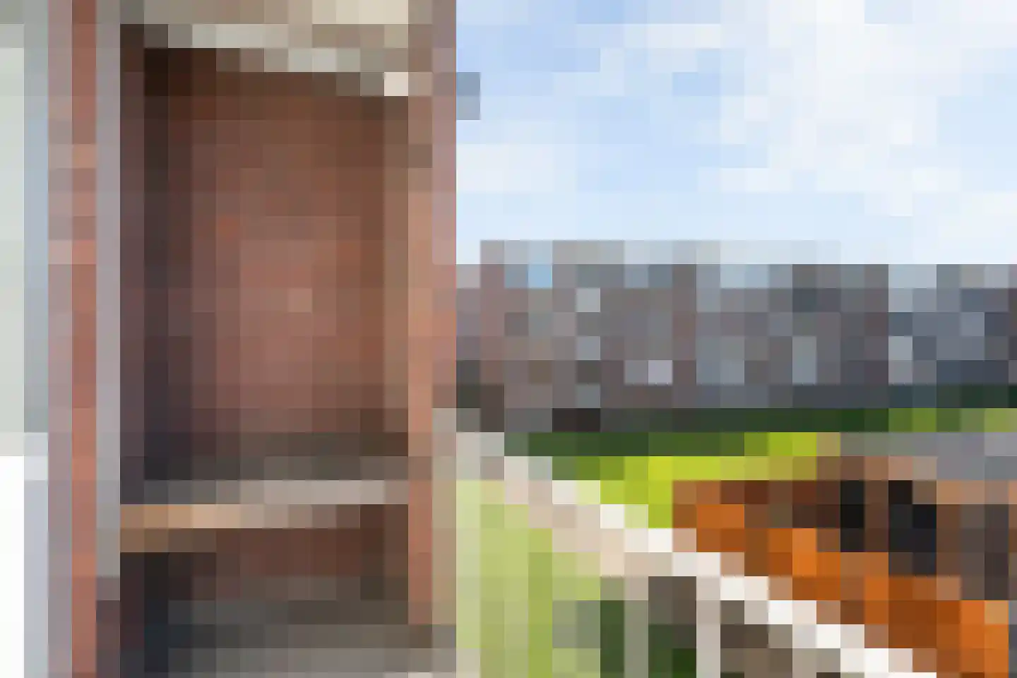 Dr. Ir. Lelystraat 25 Ridderkerk thumbnail 11