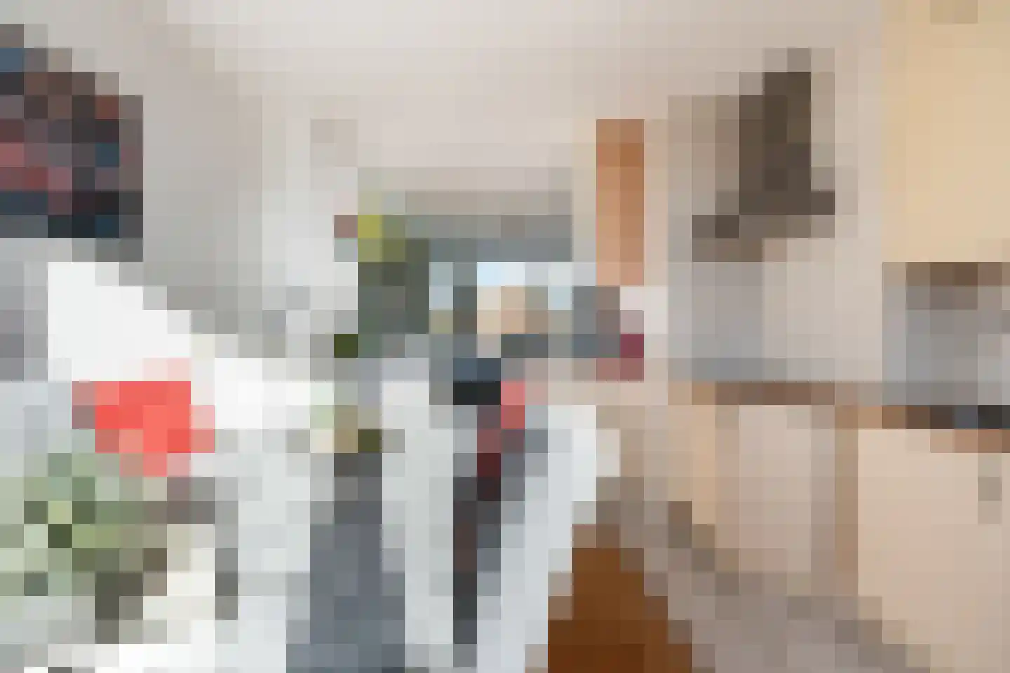 Dr. Ir. Lelystraat 25 Ridderkerk thumbnail 15