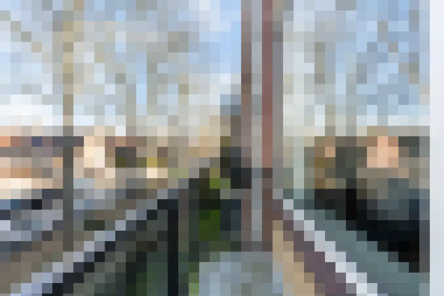 Dr. Ir. Lelystraat 25 Ridderkerk thumbnail 4