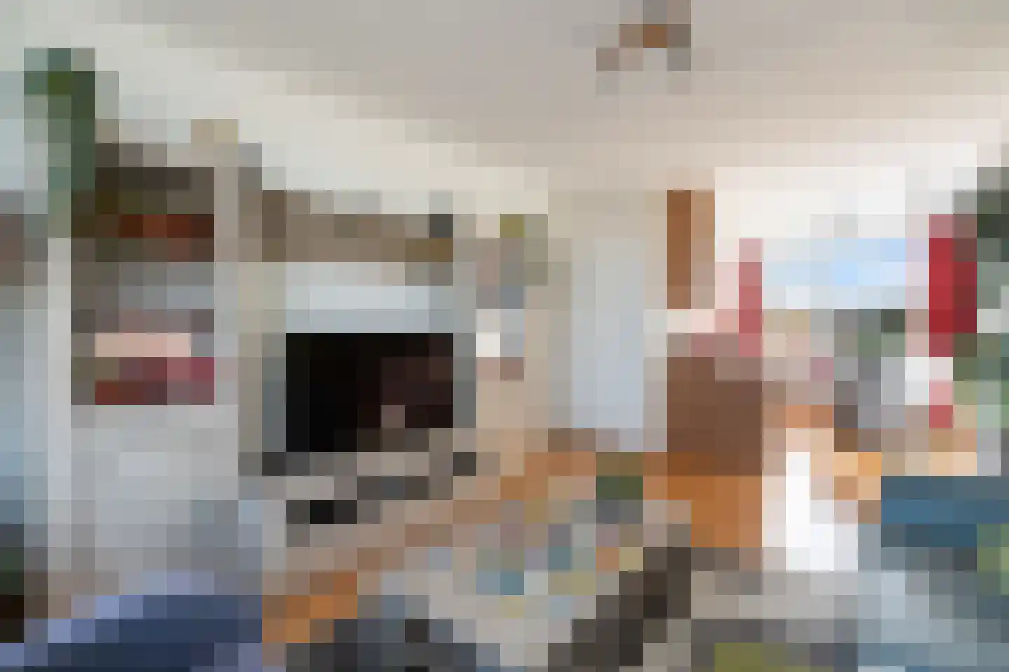 Dr. Ir. Lelystraat 25 Ridderkerk thumbnail 7