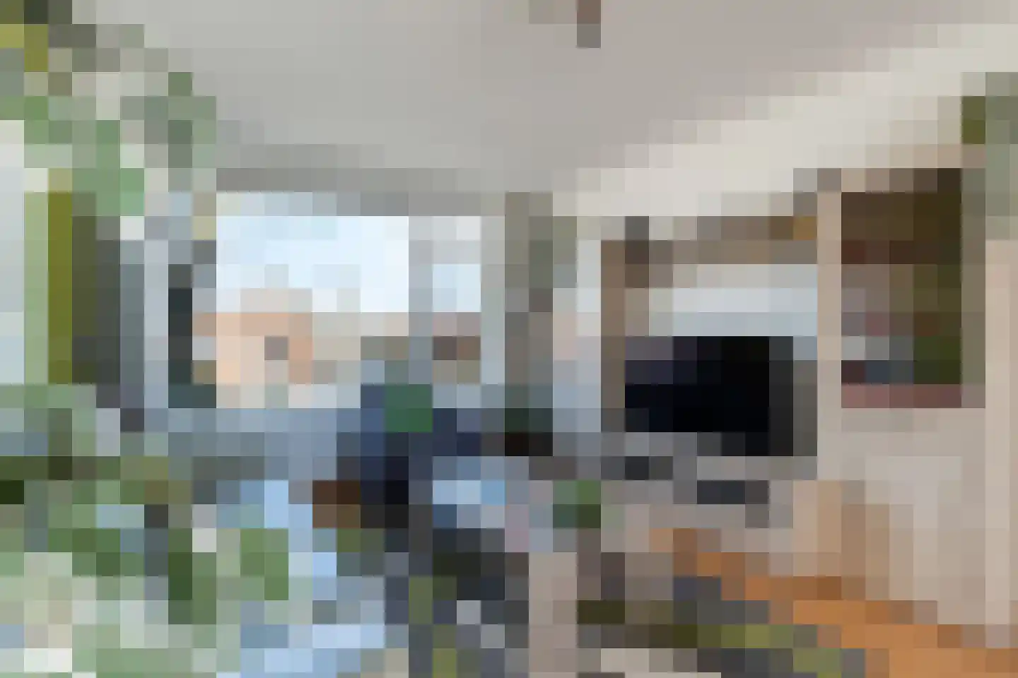 Dr. Ir. Lelystraat 25 Ridderkerk thumbnail 8