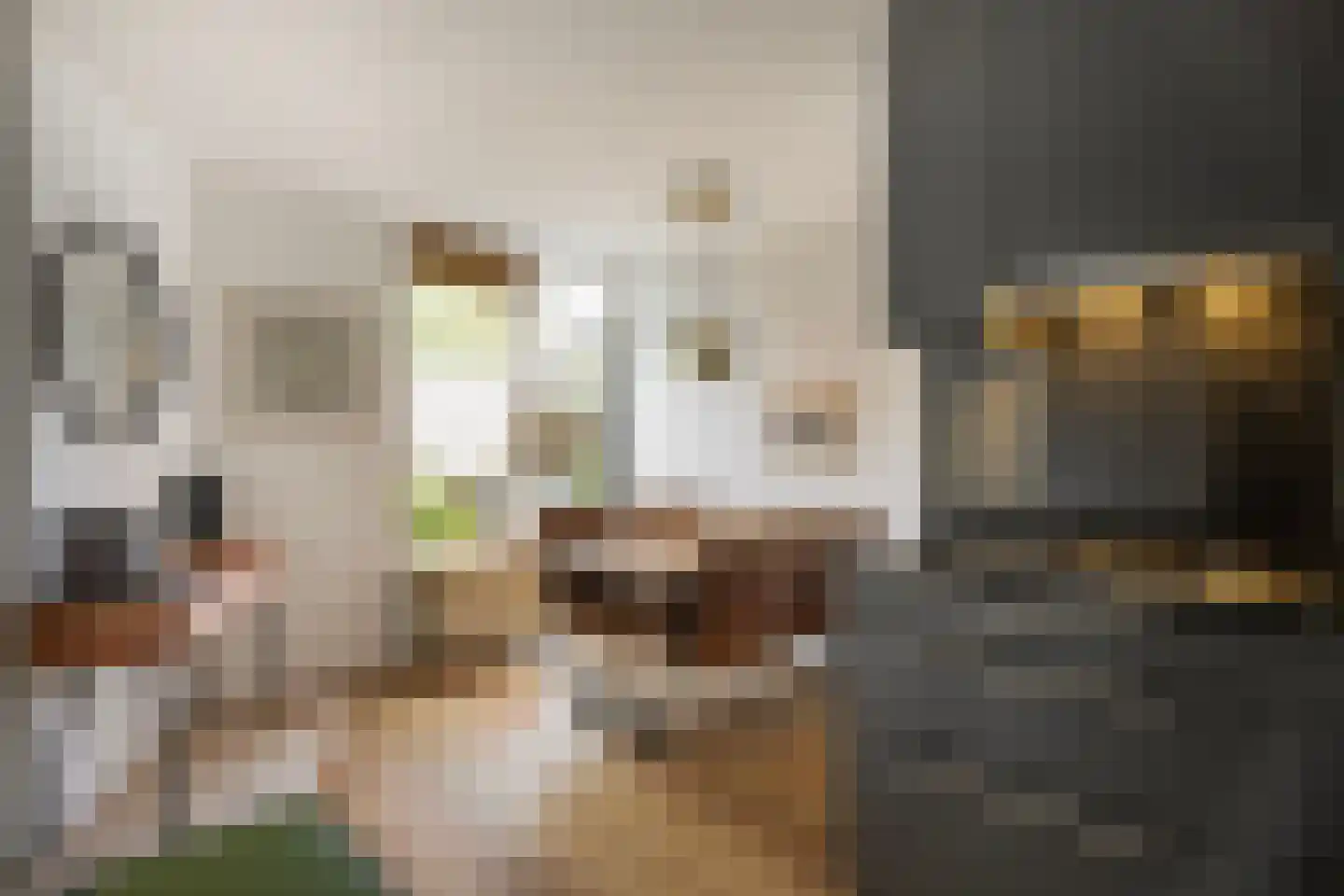 Dr. Ir. Vondelingpark 21 Ede thumbnail 12