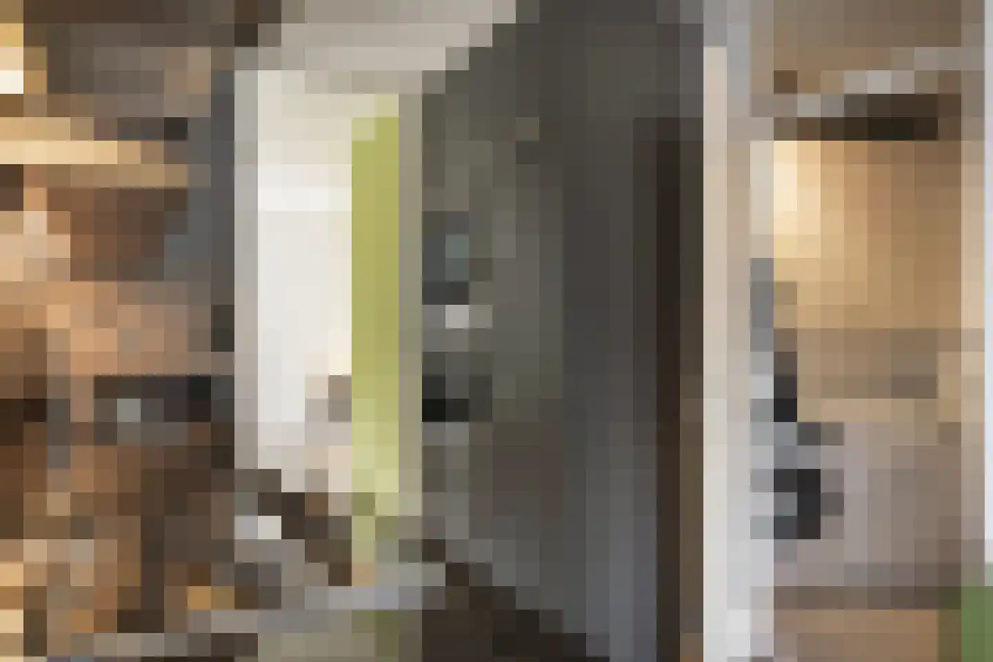 Dr. Ir. Vondelingpark 21 Ede thumbnail 13