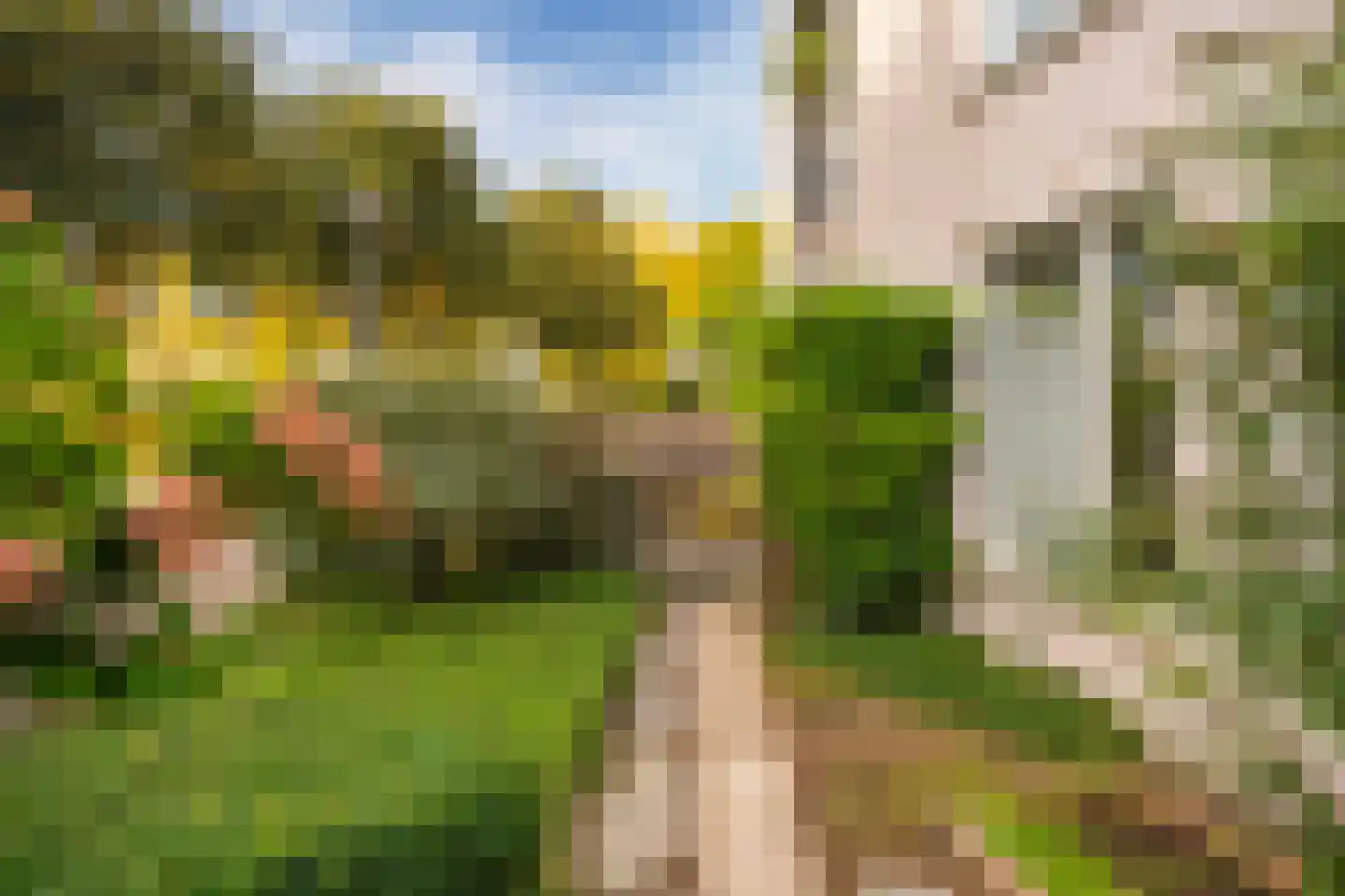 Dr. Ir. Vondelingpark 21 Ede thumbnail 16