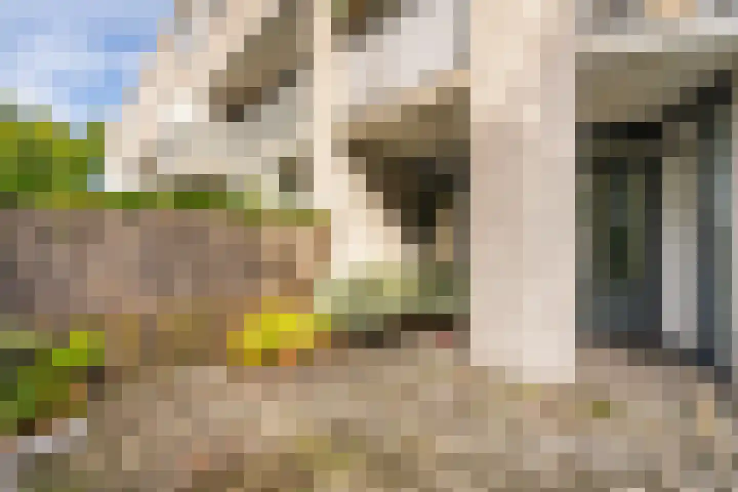Dr. Ir. Vondelingpark 21 Ede thumbnail 18