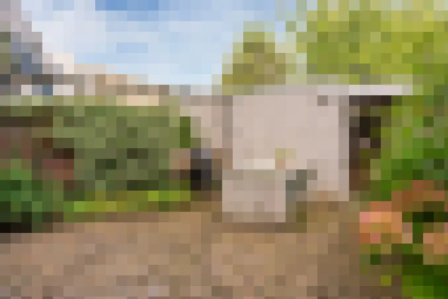 Dr. Ir. Vondelingpark 21 Ede thumbnail 20